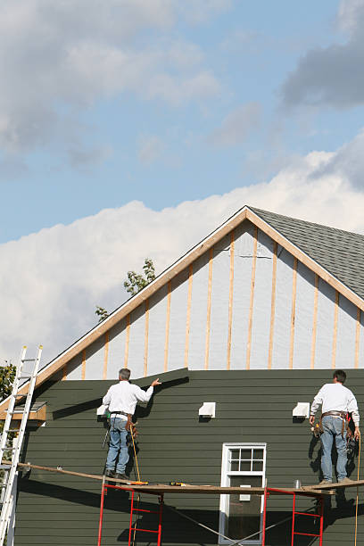 Best Engineered Wood Siding  in Evart, MI