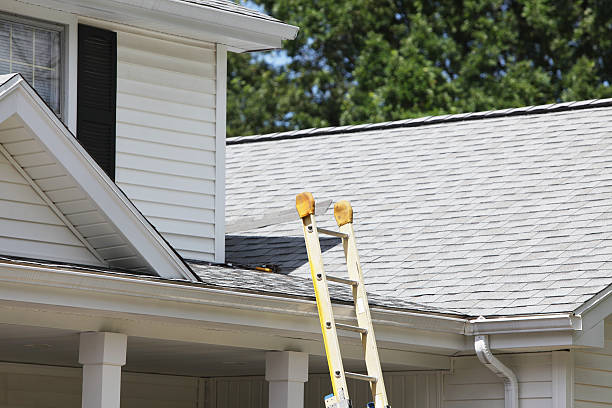 Best Storm Damage Siding Repair  in Evart, MI